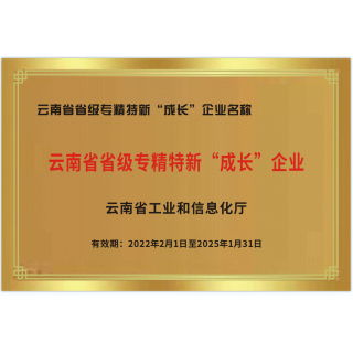 云南省專精特新成長型企業(yè)榮譽